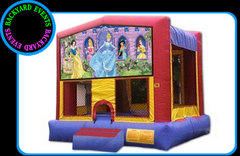 Disney Princess 4 in 1  DISCOUNTED PRICE 